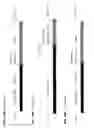 Fig. 16 - HETEROLOGOUS EXPRESSION OF NEISSERIAL PROTEINS