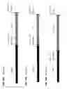 Fig. 20 - HETEROLOGOUS EXPRESSION OF NEISSERIAL PROTEINS