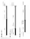 Fig. 22 - HETEROLOGOUS EXPRESSION OF NEISSERIAL PROTEINS