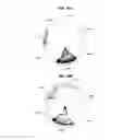 Fig. 11 - HETEROLOGOUS EXPRESSION OF NEISSERIAL PROTEINS