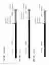 Fig. 17 - HETEROLOGOUS EXPRESSION OF NEISSERIAL PROTEINS