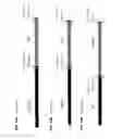 Fig. 20 - HETEROLOGOUS EXPRESSION OF NEISSERIAL PROTEINS