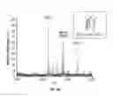 Fig. 12 - Combinatorial platform for the display of surface adjuvants and antigens