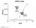 Fig. 299 - Swarm immunization with envelopes from CH505
