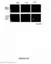 Fig. 07 - COMPOUNDS AND METHODS FOR TRANS-MEMBRANE DELIVERY OF MOLECULES