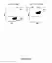 Fig. 08 - COMPOUNDS AND METHODS FOR TRANS-MEMBRANE DELIVERY OF MOLECULES