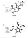 Fig. 07 - Anion-paired cationic metallocene-containing compounds and polymers as antimicrobial agents