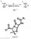 Fig. 08 - Anion-paired cationic metallocene-containing compounds and polymers as antimicrobial agents