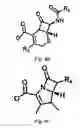 Fig. 09 - Anion-paired cationic metallocene-containing compounds and polymers as antimicrobial agents
