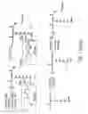 Fig. 03 - DENDRIMERIC PLATFORM FOR CONTROLLED RELEASE OF DRUGS