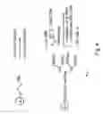 Fig. 08 - DENDRIMERIC PLATFORM FOR CONTROLLED RELEASE OF DRUGS