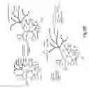 Fig. 28 - DENDRIMERIC PLATFORM FOR CONTROLLED RELEASE OF DRUGS