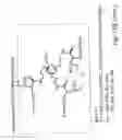 Fig. 41 - DENDRIMERIC PLATFORM FOR CONTROLLED RELEASE OF DRUGS