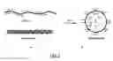 Fig. 02 - Carrier nanoparticles and related compositions, methods and systems