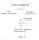 Fig. 06 - DELIVERY OF ANTIBODIES TO THE CENTRAL NERVOUS SYSTEM