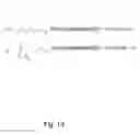 Fig. 14 - DELIVERY OF ANTIBODIES TO THE CENTRAL NERVOUS SYSTEM