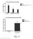 Fig. 16 - DELIVERY OF ANTIBODIES TO THE CENTRAL NERVOUS SYSTEM