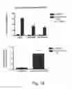 Fig. 19 - DELIVERY OF ANTIBODIES TO THE CENTRAL NERVOUS SYSTEM