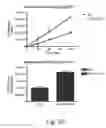 Fig. 21 - DELIVERY OF ANTIBODIES TO THE CENTRAL NERVOUS SYSTEM