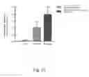 Fig. 22 - DELIVERY OF ANTIBODIES TO THE CENTRAL NERVOUS SYSTEM