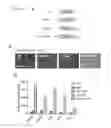 Fig. 04 - Transduction