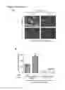 Fig. 08 - Transduction