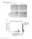 Fig. 17 - Transduction