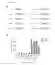 Fig. 22 - Transduction