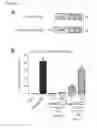 Fig. 45 - Transduction