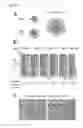 Fig. 46 - Transduction
