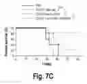 Fig. 14 - Cell surface coupling of nanoparticles