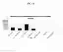 Fig. 12 - Systems and methods for nucleic acid expression in vivo