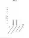 Fig. 15 - Systems and methods for nucleic acid expression in vivo