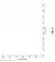 Fig. 04 - Host cells with artificial endosymbionts