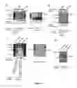 Fig. 06 - Method of binding a CSE1L tumor marker in a tumor of an animal