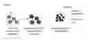 Fig. 01 - MAGNETIC AND FLUORESCENT REVERSE NANOASSEMBLIES