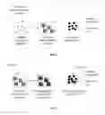 Fig. 02 - MAGNETIC AND FLUORESCENT REVERSE NANOASSEMBLIES