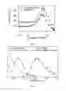 Fig. 04 - MAGNETIC AND FLUORESCENT REVERSE NANOASSEMBLIES