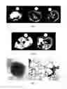 Fig. 06 - MAGNETIC AND FLUORESCENT REVERSE NANOASSEMBLIES
