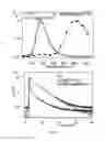 Fig. 07 - MAGNETIC AND FLUORESCENT REVERSE NANOASSEMBLIES