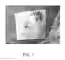Fig. 02 - Hemostatic sponge