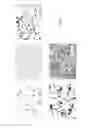 Fig. 02 - BIORESORBABLE METAL ALLOY AND IMPLANTS MADE OF SAME