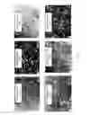 Fig. 09 - BIORESORBABLE METAL ALLOY AND IMPLANTS MADE OF SAME