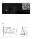 Fig. 03 - BIOCOMPATIBLE COMPOSITES AND METHODS OF MAKING SAME