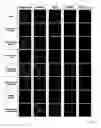 Fig. 09 - Medical glass element