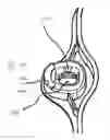 Fig. 03 - Fluid cassette with alignment latching having an improved tilt-tolerance as well as a blood treatment apparatus