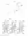 Fig. 08 - Medication delivery device