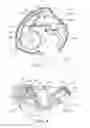 Fig. 03 - Dry powder inhalers