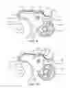 Fig. 06 - Dry powder inhalers