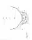 Fig. 31 - Mask system